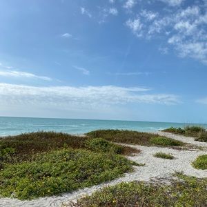 Meet your Posher, Jacqueline